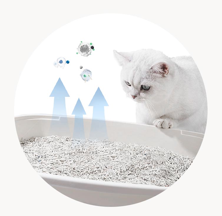Long-Lasting Odor Control & Stays Clean