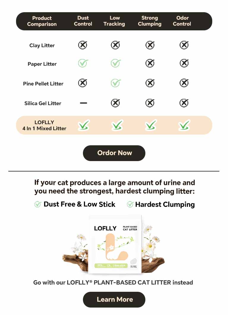 LOFLLY product showcase