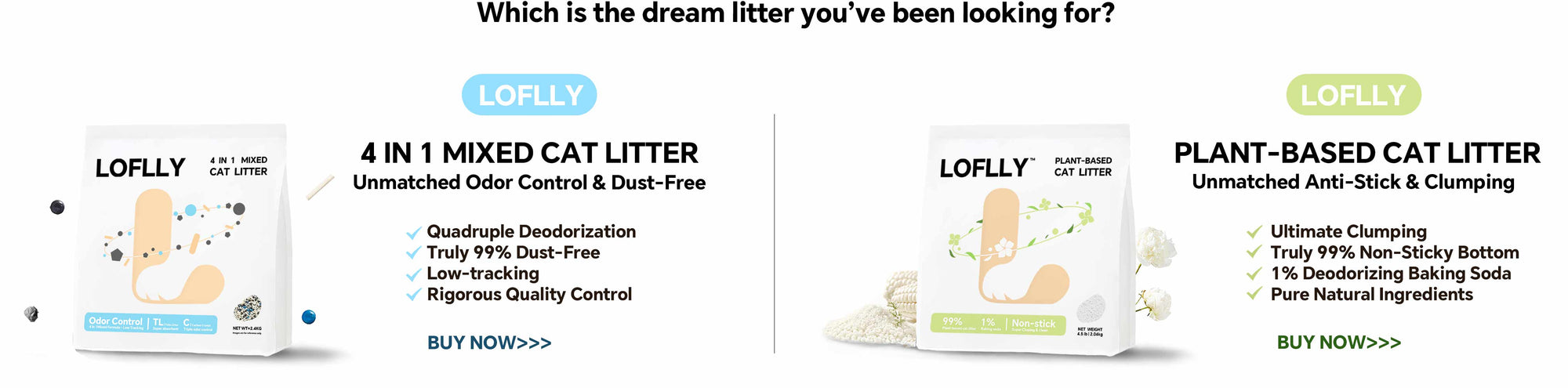 LOFLLY product showcase