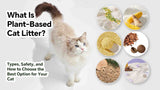 What Is Plant-Based Cat Litter? Types, Safety, and How to Choose the Best Option for Your Cat