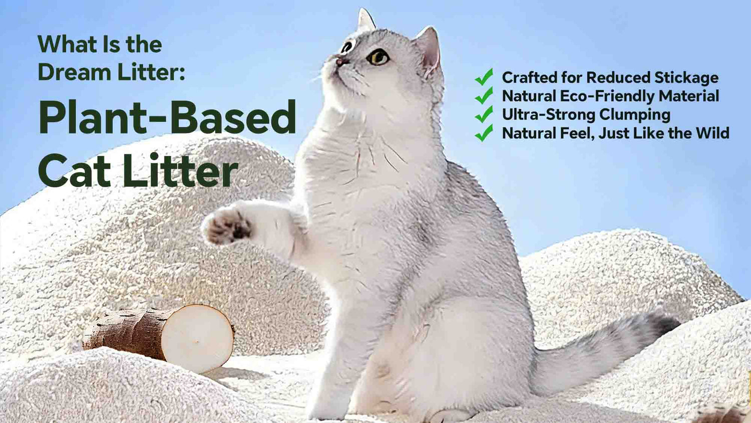 What Is Cassava Cat Litter? Is Tapioca Plant-Based Cat Litter Safe for Cats?