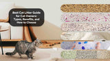 Best Cat Litter Guide for Cat Owners: Types, Benefits, and How to Choose