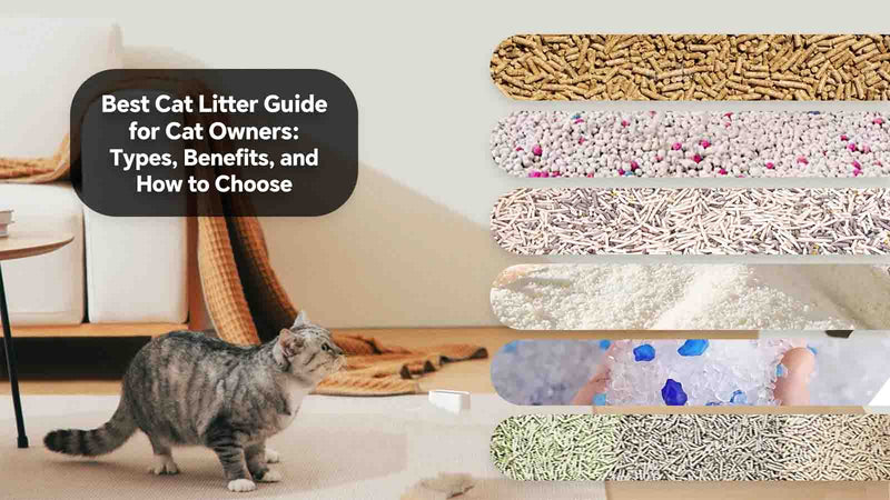 Best Cat Litter Guide for Cat Owners: Types, Benefits, and How to Choose
