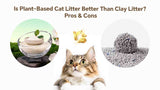 Is Plant-Based Cat Litter Better Than Clay Litter? Pros & Cons