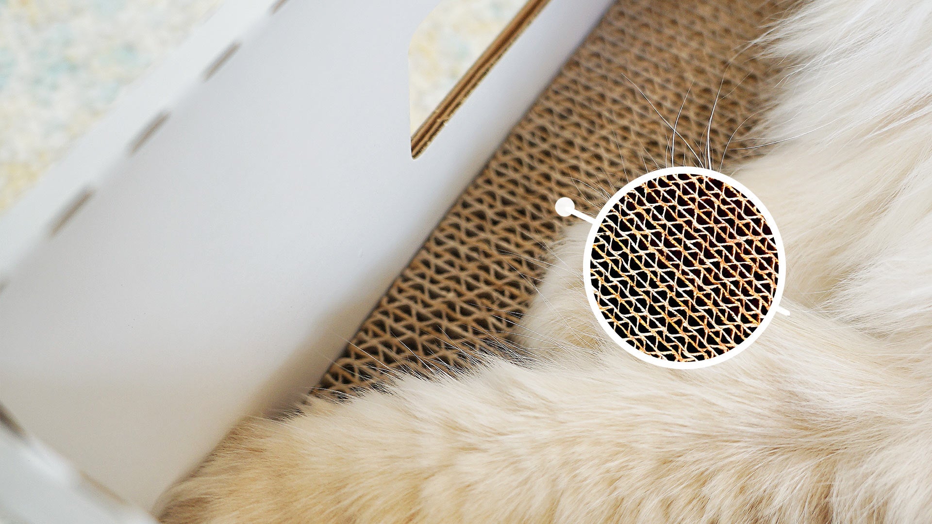 LOFLLY Scratch Box