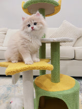 Cloud Cat Tree