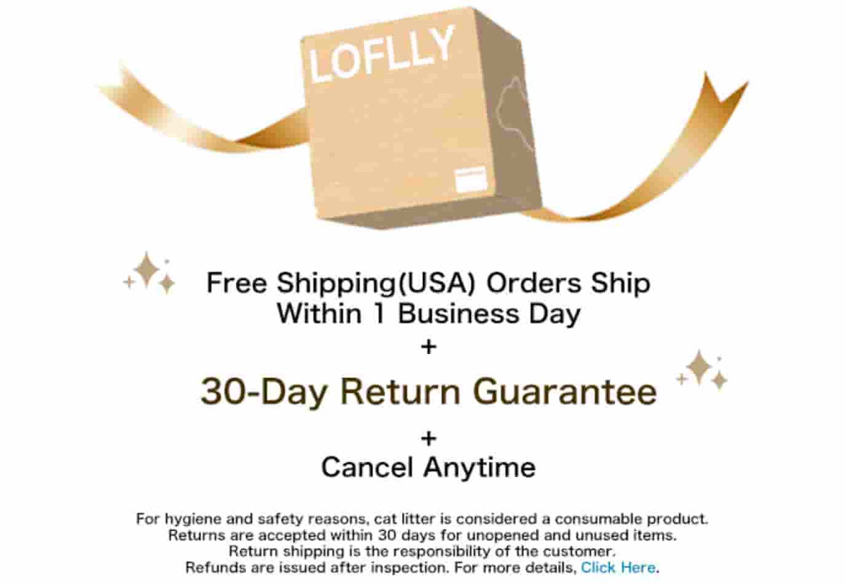 LOFLLY product showcase