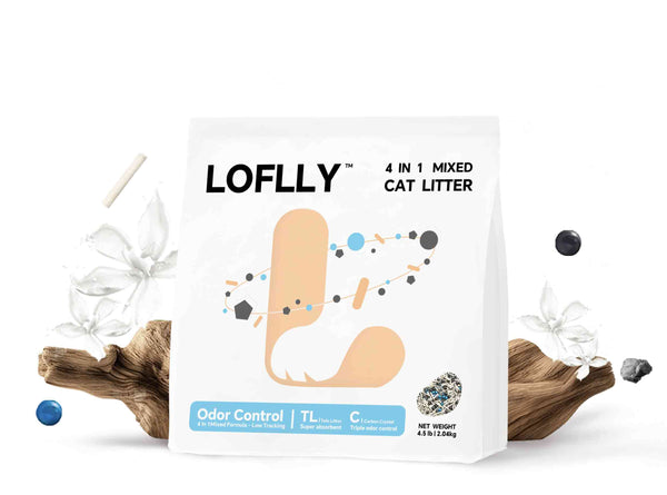 Best Cat Litter Guide for Cat Owners: Types, Benefits, and How to Choose
