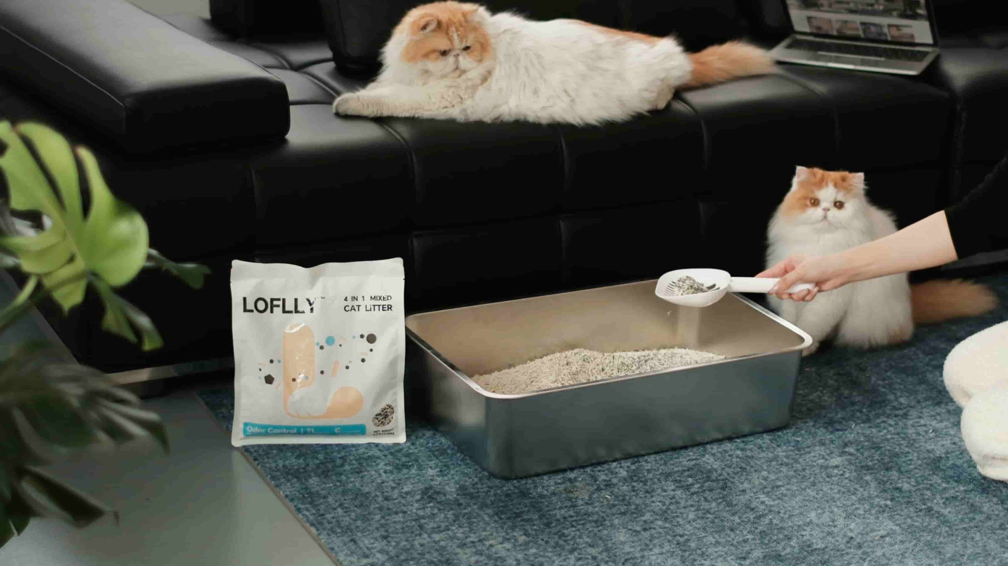 4in1_big_home0.099.jpg