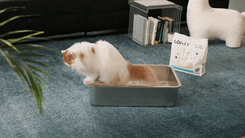 Low Tracking & Stays Clean>>>