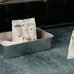 4in_light_litter_2c3e20e5-dd66-4e32-bb4f-1a4af85f54a7.gif