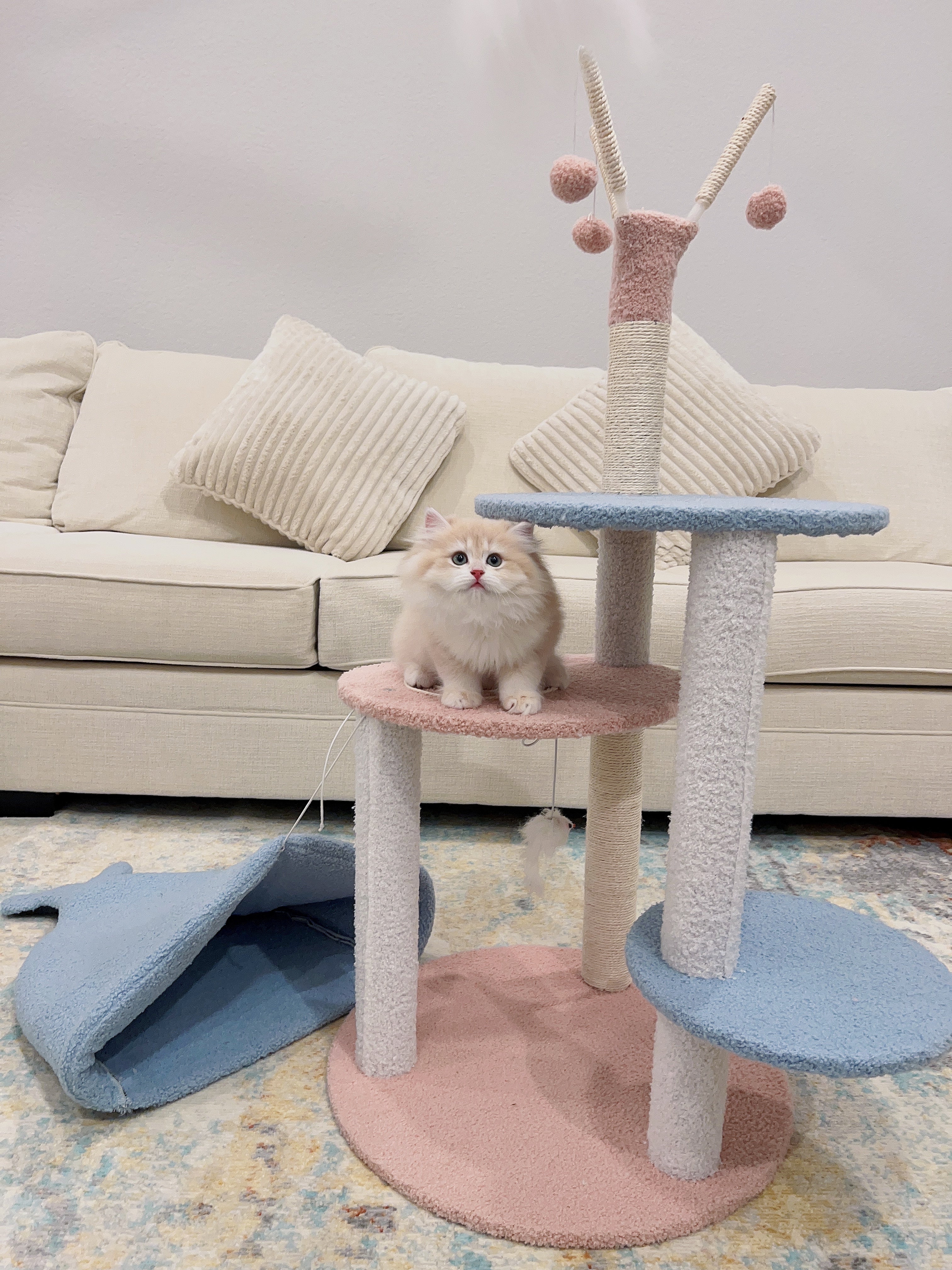 Whale Cat Tree
