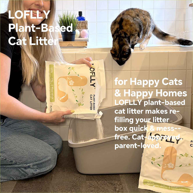 LOFLLY social post