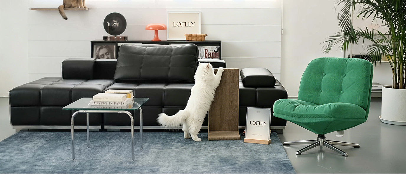 PCLOFLLY_A_white_fluffy_cat_standing_on_Nano_Banana_2_72761.jpg