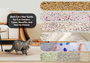 Best Cat Litter Guide for Cat Owners: Types, Benefits, and How to Choose