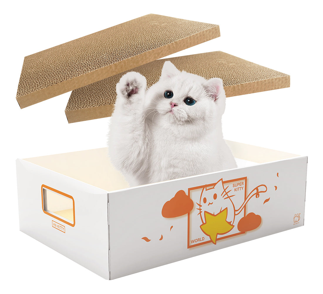 LOFLLY Scratch Box