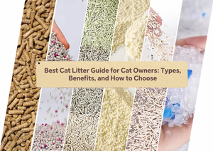 Best Cat Litter Guide for Cat Owners: Types, Benefits, and How to Choose