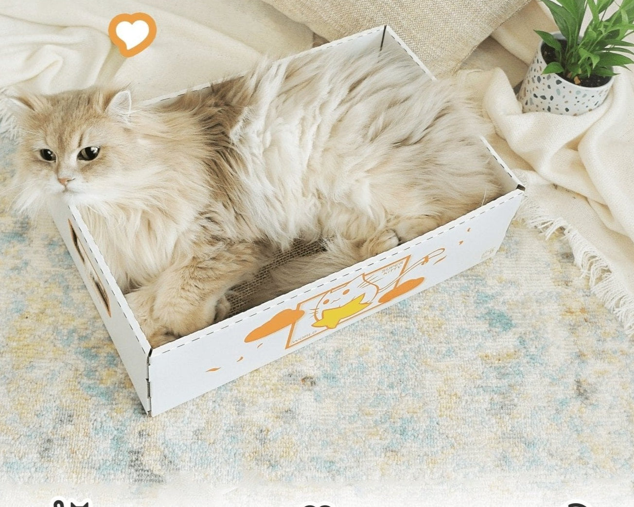 hx-scratch-box-736661.jpg