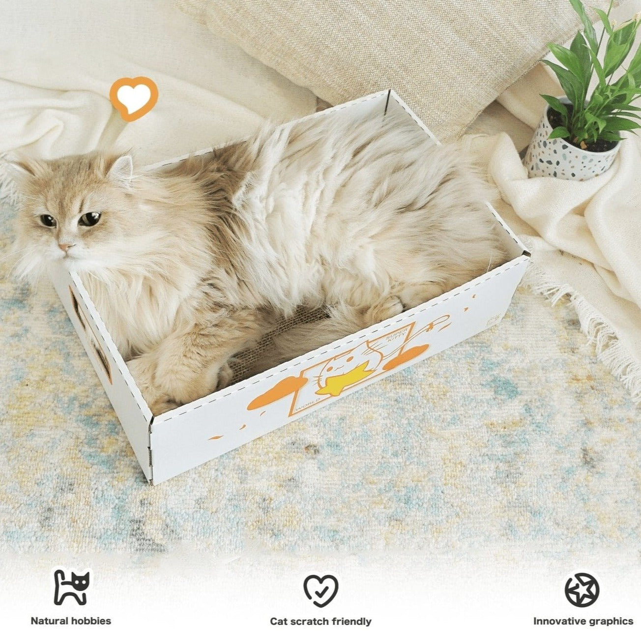 hx-scratch-box-736661.jpg