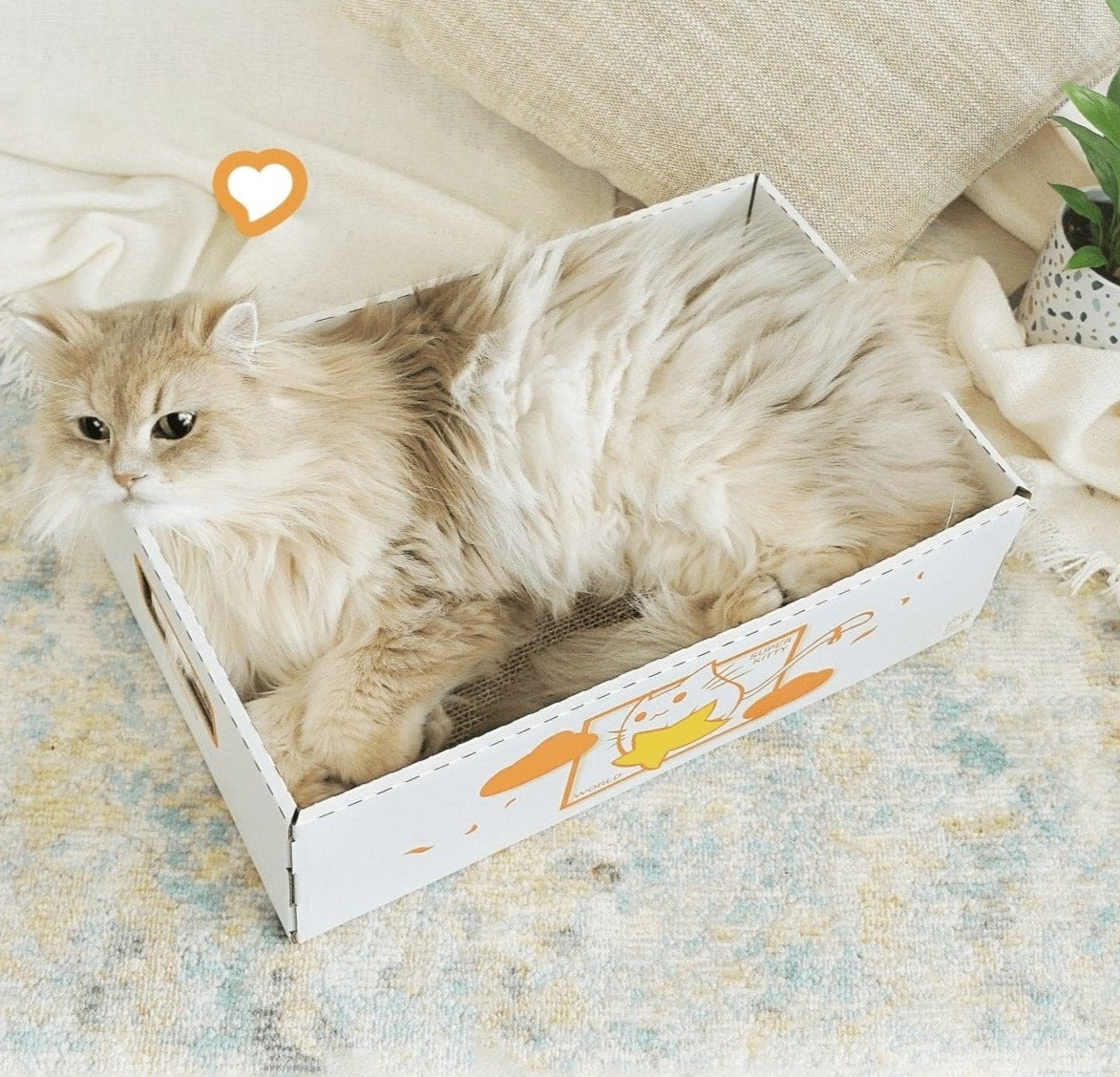 hx-scratch-box-736661.png
