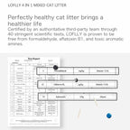 CTI certified health test report for LOFLLY 4‑in‑1 Mixed Cat Litter confirming absence of formaldehyde, aflatoxin B1 and Salmonella