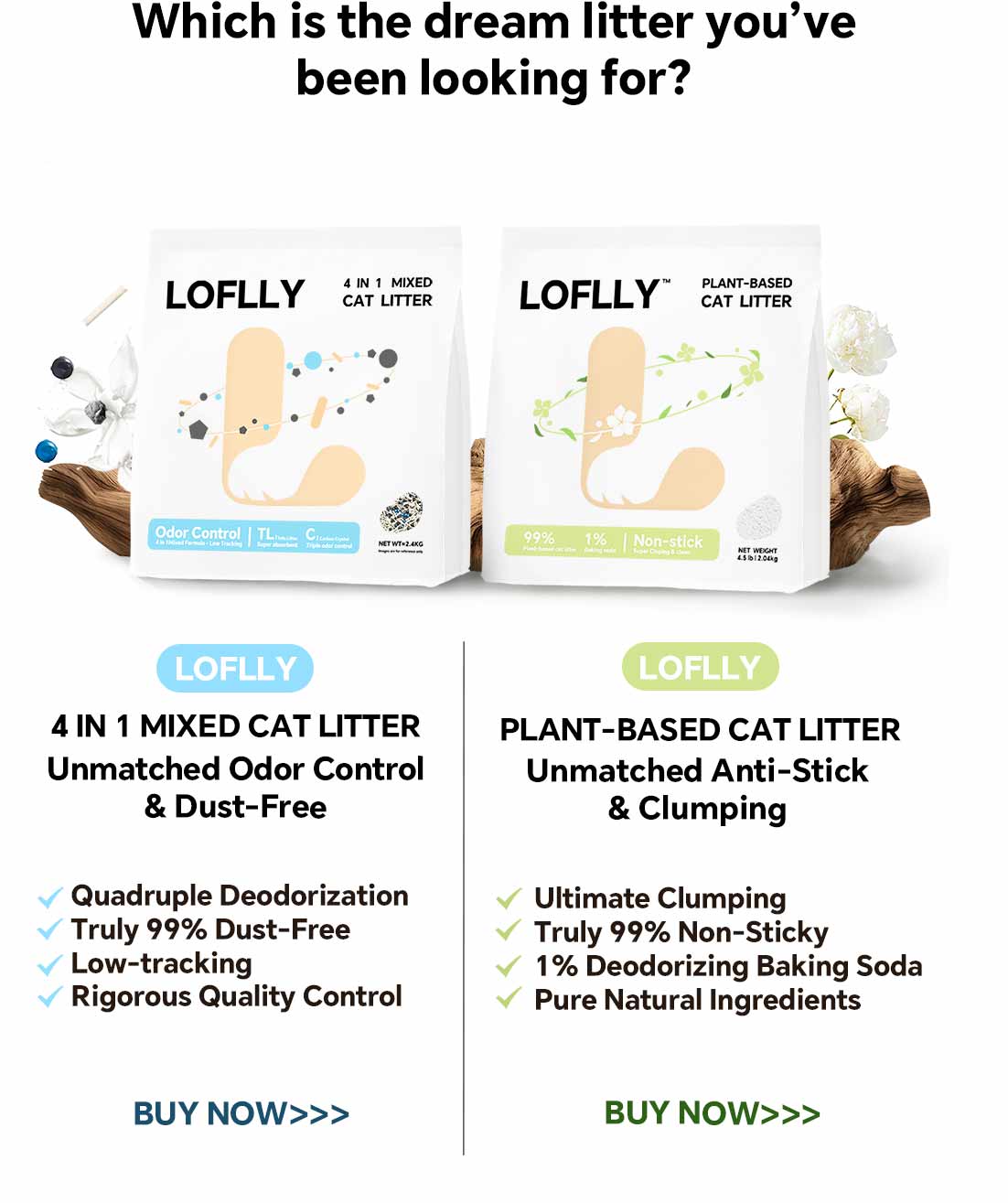 LOFLLY product showcase