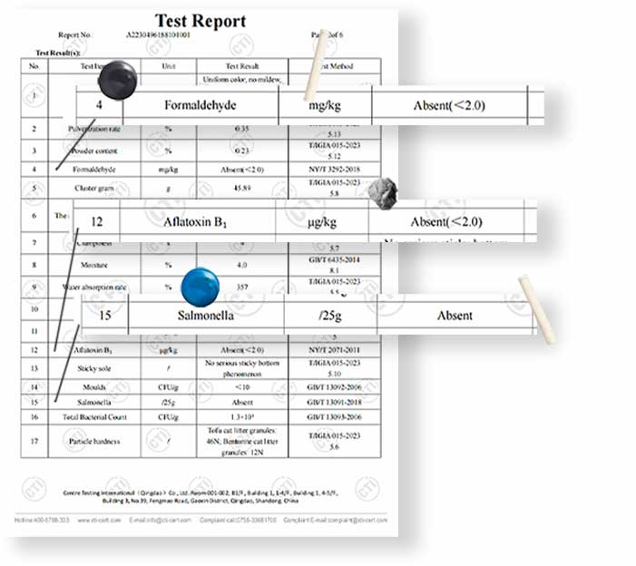 CTI safety test report for LOFLLY cat litter showing formaldehyde, aflatoxin B1 and salmonella absent, meeting national health standards