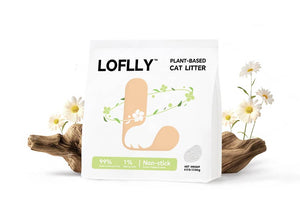 Best Cat Litter Guide for Cat Owners: Types, Benefits, and How to Choose