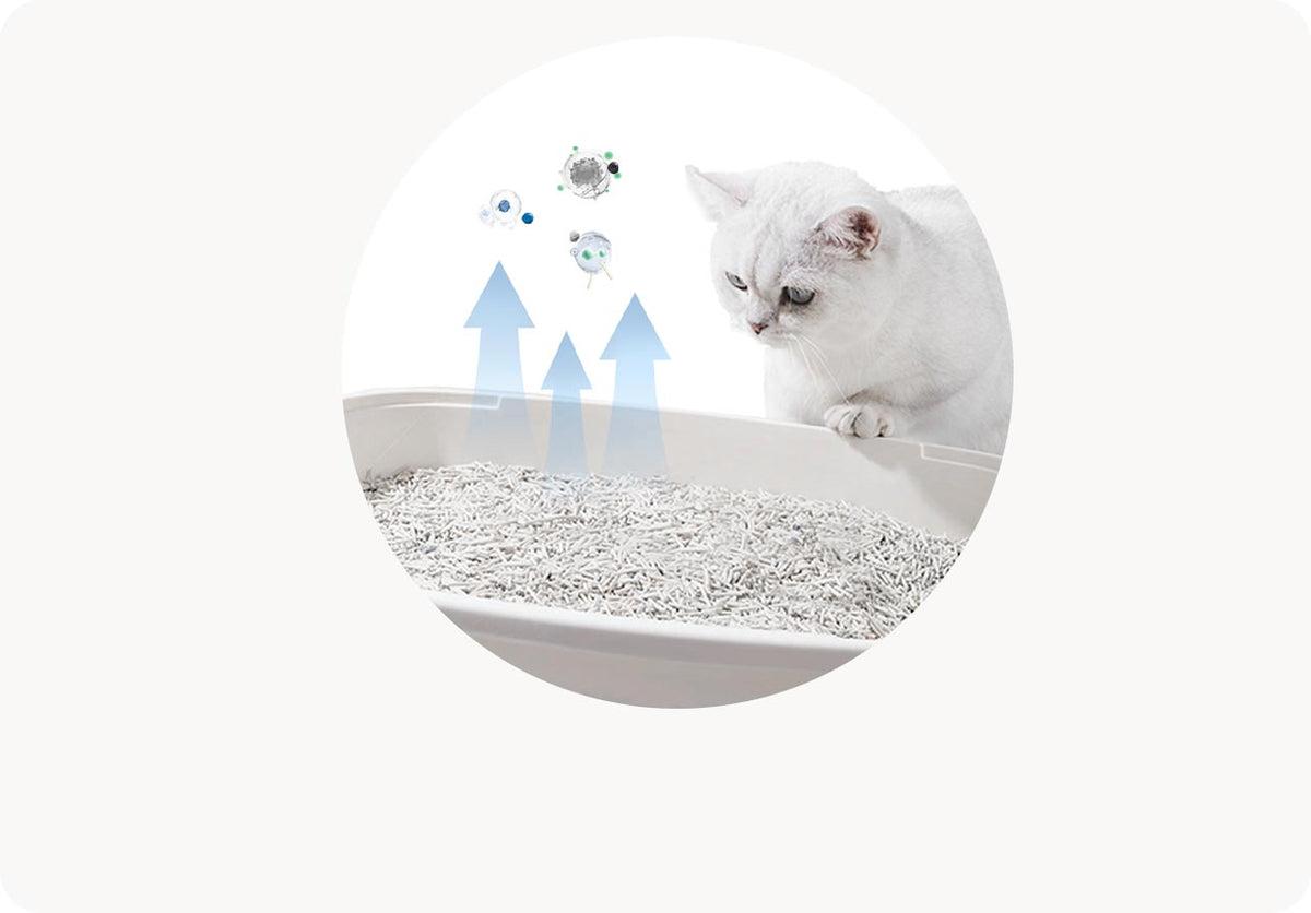 Long-Lasting Odor Control & Stays Clean