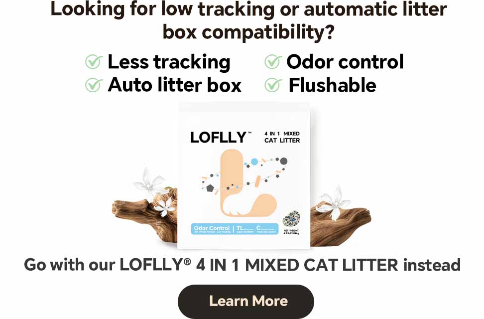 Mobile Hotspot Image