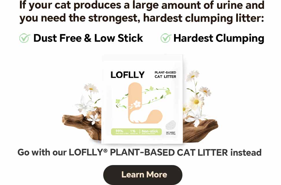 Mobile Hotspot Image