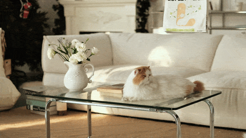 plantbased_light.gif