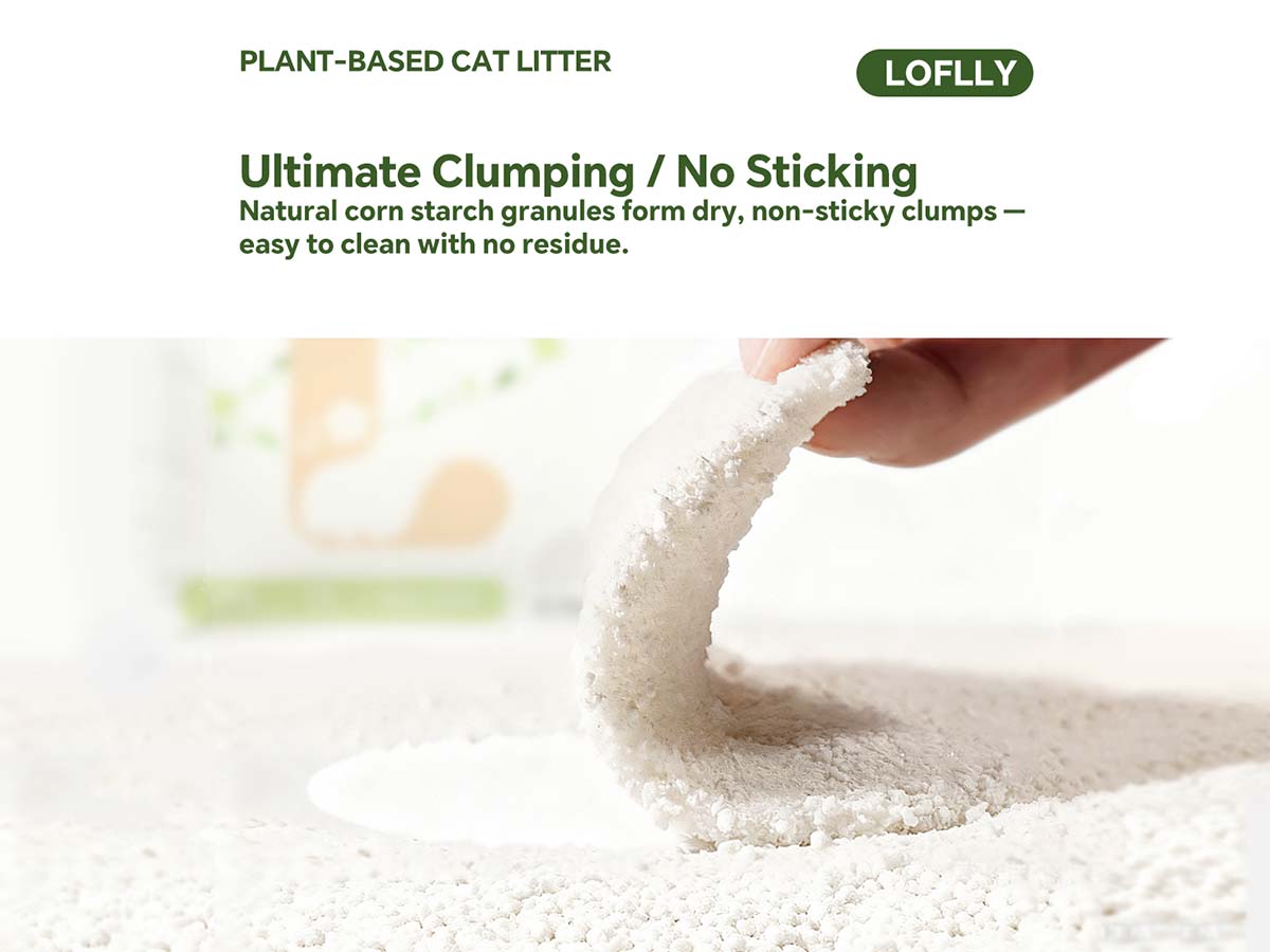 plantmainpicturenosticking.jpg