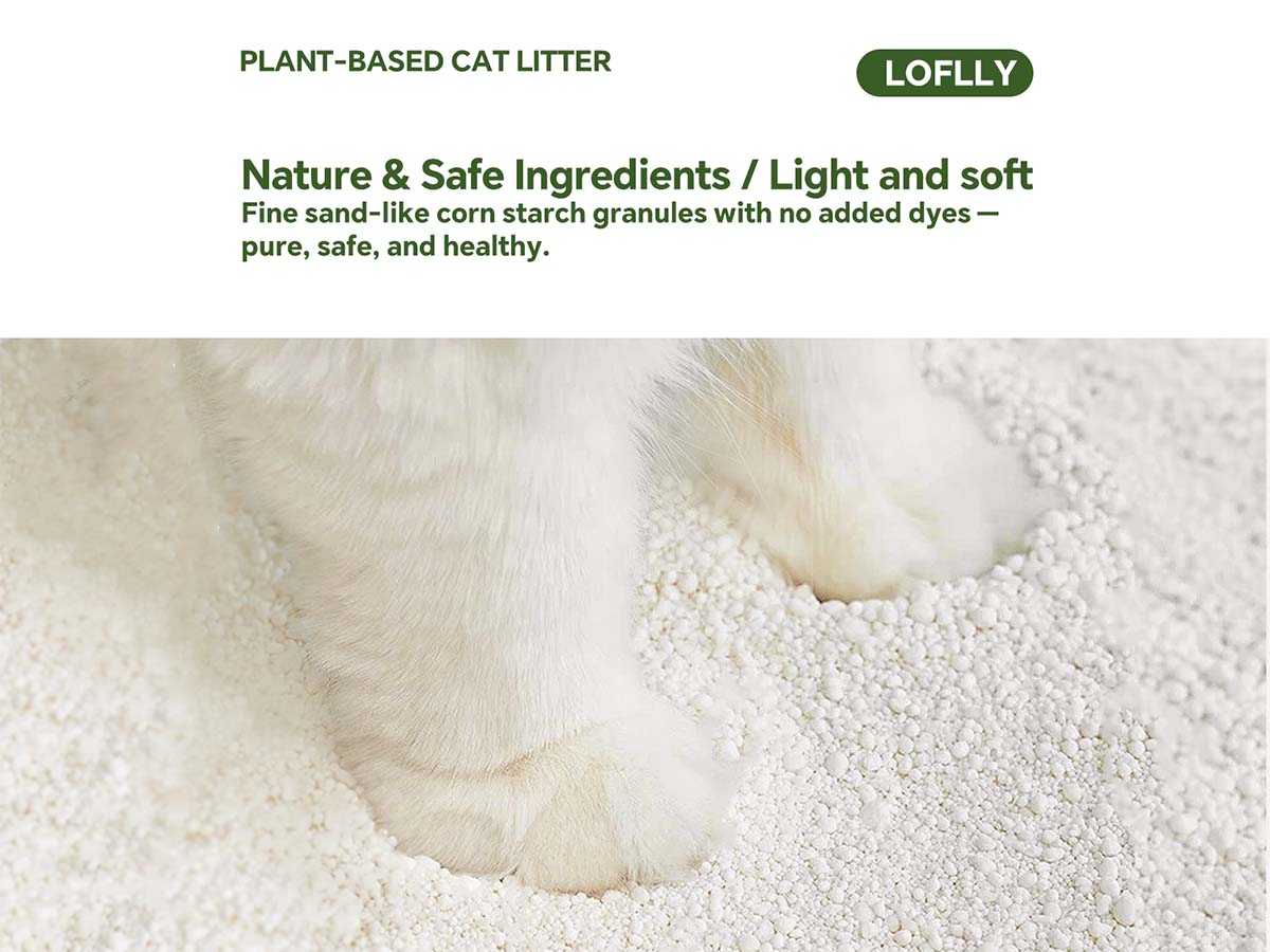 plantmainpictyrenature.jpg