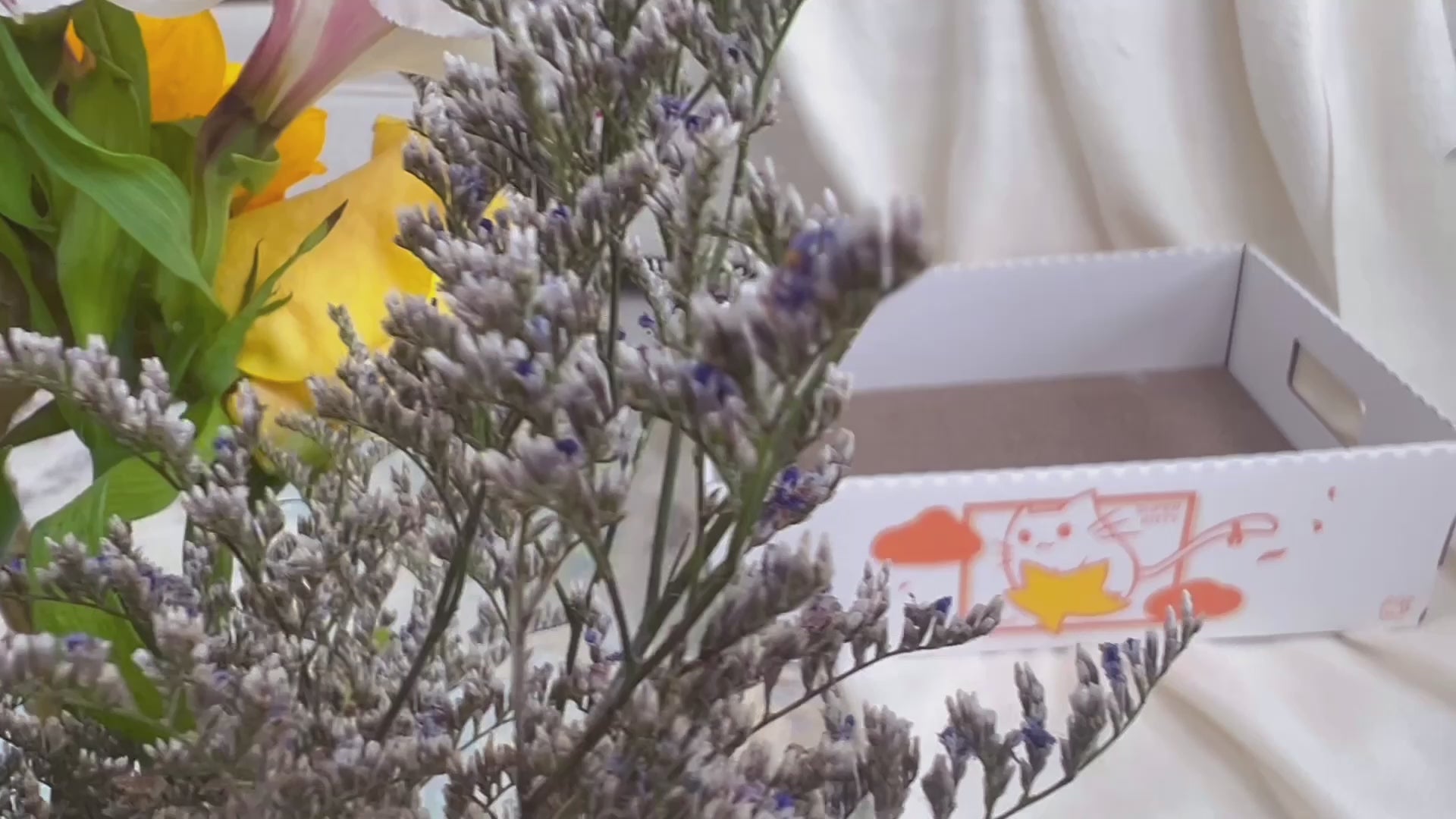 Load video: LOFLLY Scratch Box