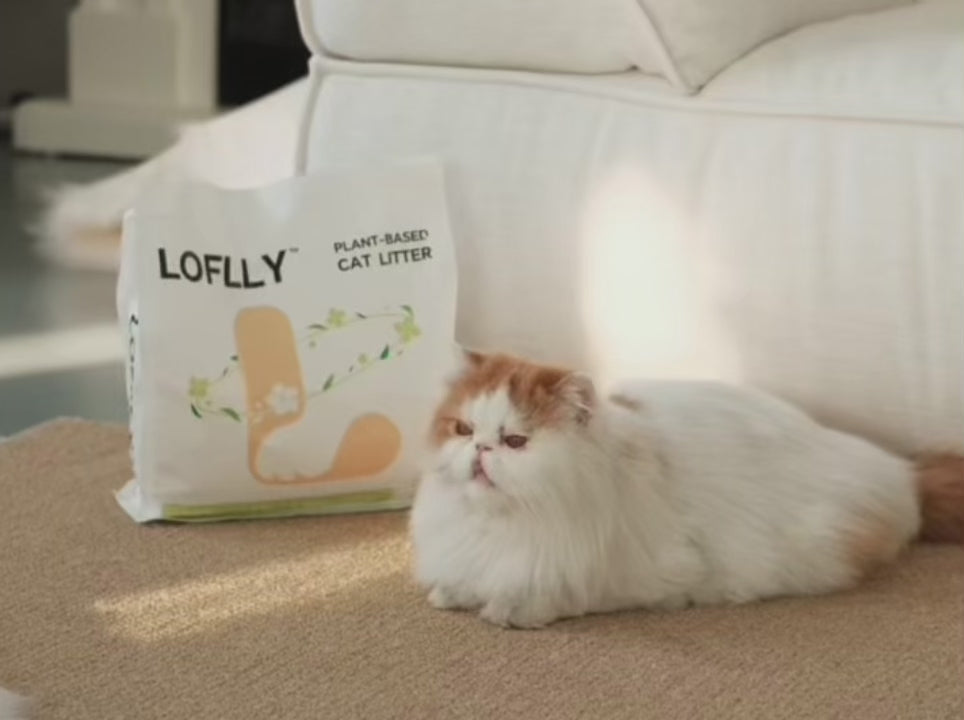 Plant-Based Cassava Cat Litter