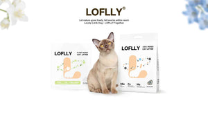 Best Cat Litter Guide for Cat Owners: Types, Benefits, and How to Choose