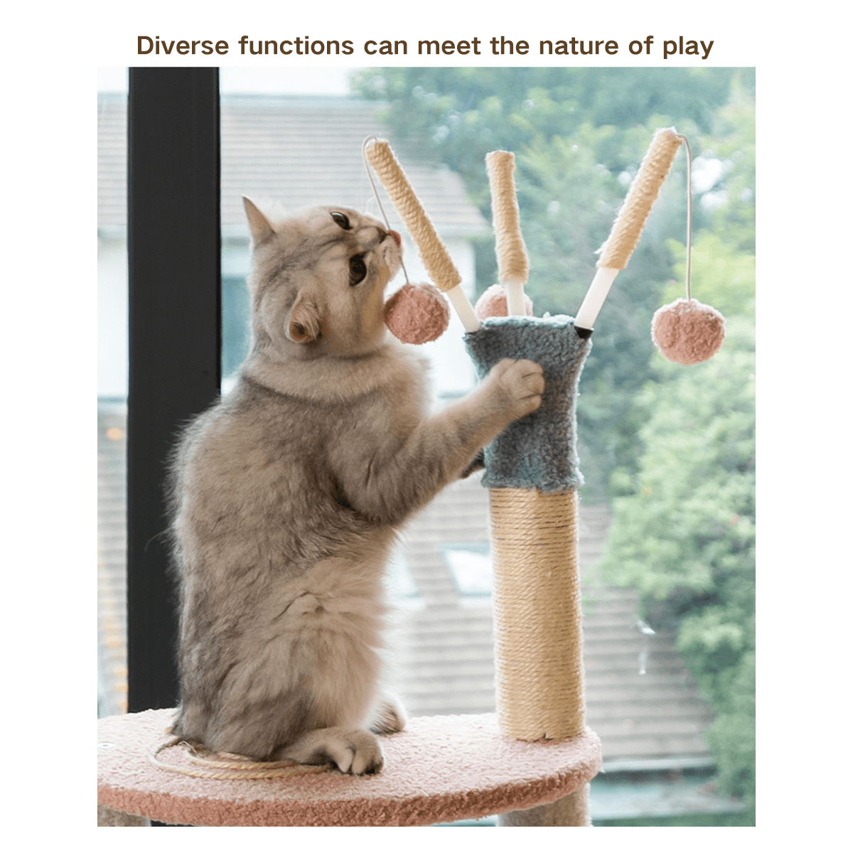 v_1424c2cb-5de5-4fbd-8466-bd29a0b015f5.png